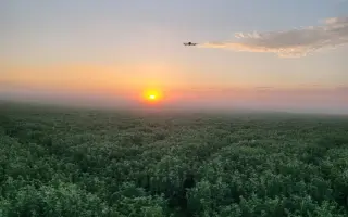 Dron pro srnčata Nymbursko