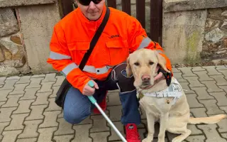 Pomozte Quentymu být mýma očima ❤️