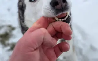 Druhá záchrana pro Jessinku