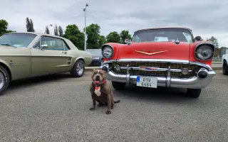 Pomozme Ele opět poznávat svět