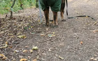Léčba, která nekončí - Fůrie