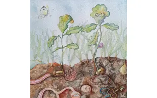 Podpořte vydání dětské knihy Světobjevník Martínek