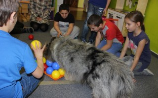 Canisterapie CANTES v krajích ČR jako sociální rehabilitace