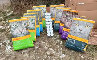 Plná miska = šance přežít