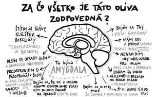 Pomozte nám vydat knihu  "Vzal sis Slovenku".