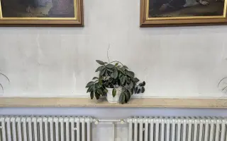 Osvětlení a výmalba pro kostel ve Šlapanicích