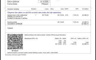 Z ulice do bezpečí - financování péče pro opuštěné kočky