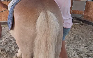 Kmenové buňky pro Elenku
