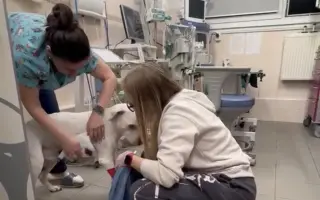 Pomozte Maronkovi bojovat s agresivní rakovinou