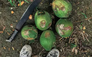 Objevte, co všechno se může stát na cestách – kniha Cestuj s Veru