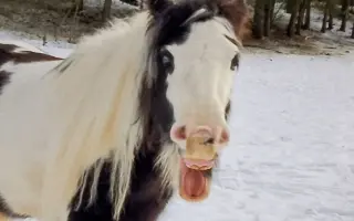 Tami ❤️ a její léčba, která nebere konce