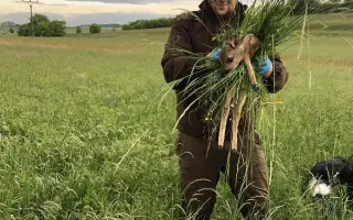 Nebeský štít - oko, které zachraňuje!