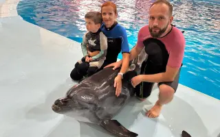 Delfinoterapie a hipoterapie pro Arturka