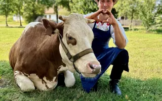 Podpořte pořízení nových chomoutů a postrojů pro kravičku Matyldu