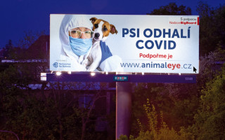 Podpořme výcvik psů k detekci COVID-19 a dalších onemocnění