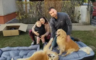 FOXY čekal 10 let na domov. Konečně ho našel. Teď bojuje o život.