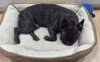 Pomozme Calvinovi zpět na nožičky