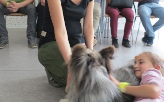Canisterapie CANTES v krajích ČR jako sociální rehabilitace