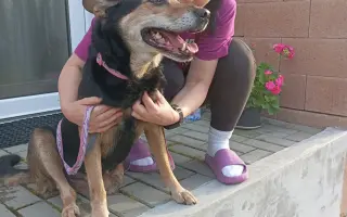 Pomozte Hance zvládnout život s roztroušenou sklerózou