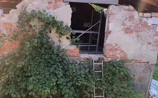 Z ruiny domovem: útočiště pro opuštěné kočky