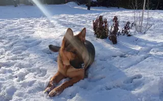 Ministerstvo zvířat - domov pro ty, na které svět zapomněl