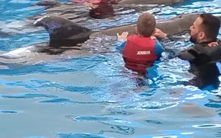 Delfinoterapie pro Teuška