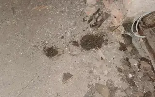 Sokolovně teče do bot