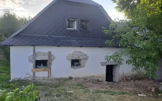 Postavme společně útulek pro kočky a psy