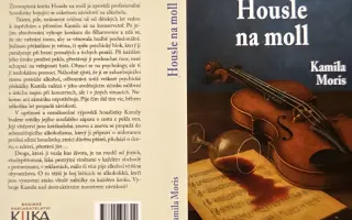 Podpořte vydání knihy o těžkém boji se závislostí na alkoholu "Housle na moll"