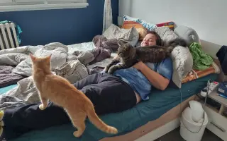 Míša s Honzou prosí za Ignáce, kocourka bojujícího s nepřízní osudu