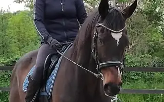 Messilee bojuje o život, pomozte nám, prosím