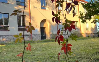 Okna pro Wau školu v Radči u Trutnova