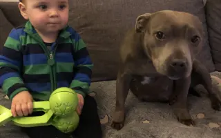 Pomoc pro tři statečné a úžasné děti a jejich maminku