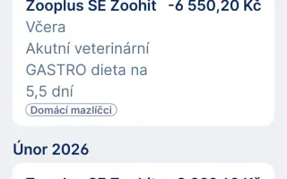 Kuki hledá pomoc pro svoji "paničku" - Bojujeme za každý den navíc