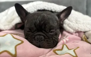 Pomozme Calvinovi zpět na nožičky