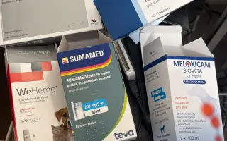 Prosíme, pomozte Nefince přestat trpět 💔