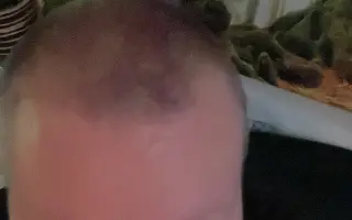 Šance na klidnější život pro Katku