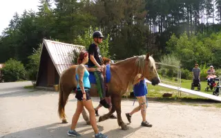 Přispějte na operaci hiporehabilitační klisny Kenyi, aby mohla dále pomáhat