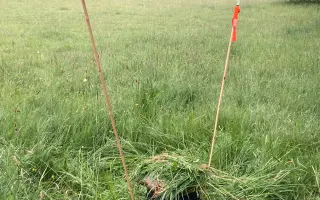 Pomozte nám zachránit srnčata před sekačkami 🌱🦌