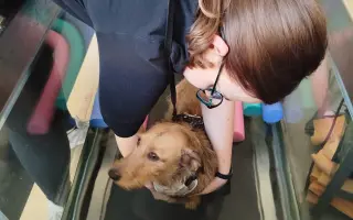 Zachraňme Mejlíkovi nožičku ❤️