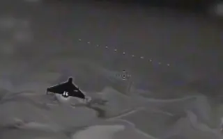 Zachraňujme životy v Charkově – nakupme pozorovací drony made in UA