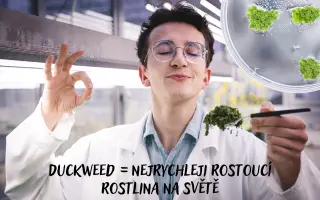 Mendel 2.0: Pošlete studenty na finále nejprestižnejší biotech soutěže na světě!