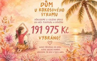 Pomozte vydat knihu Dům u kokosového stromu a dát psům na Bali šanci