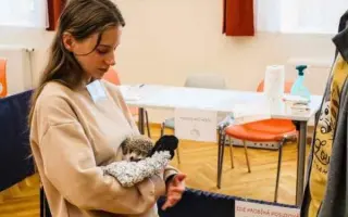 Pomozte nám uspořádat 1. Mezinárodní výstavu exotických ježků v Ústí nad Labem!