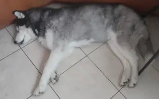Velká šance pro bojovnici Kačku
