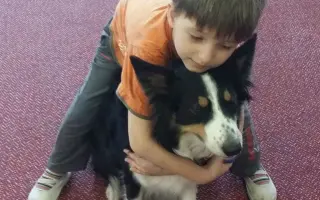 Pomozte s vybavením pro Nadační fond Canisterapie