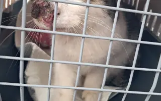 Filípek chce žít: pomoz mu porazit nádor