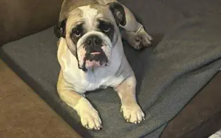 Pomoc pro Kuky a Kony