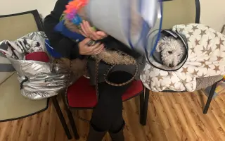 Operace pro Chanelku 💜