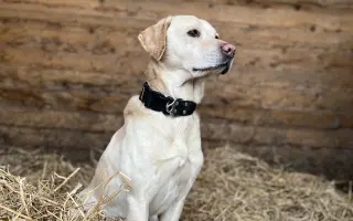 Pomozme Timmymu znovu stát na vlastních nohách.